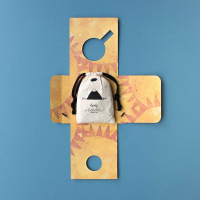 Micropuzzel Discover the Planets